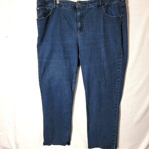 24W Terra & Sky Women's Straight Leg Jeans - Blue